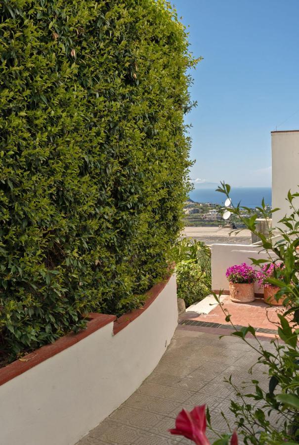 Capri Town Apartments Exterior photo